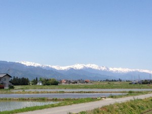 IMG_0374